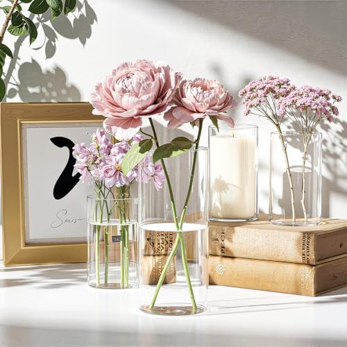 Mavora Max Glass Cylinder Vase Set of 10