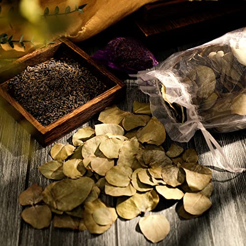 3 Pack Dried Eucalyptus Lavender Shower Sachets for Relaxation and Anxiety Relief
