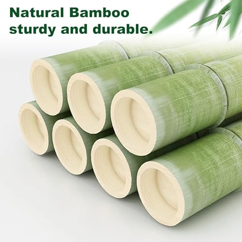 3 Tier Bamboo Corner Bookshelf with Storage