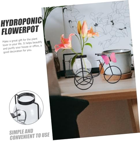 Modern Decorative Pedicab Glass Vase Wrought Iron Holder