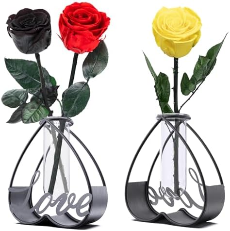 Modern Metal Flower Vase with Clear Glass Frame