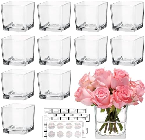 CONNOO 12 Pack Square Glass Vases 3x3x3 Clear