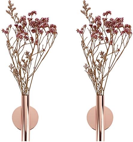 JUXYES Pack of 2 Wall Flower Vase Tubes