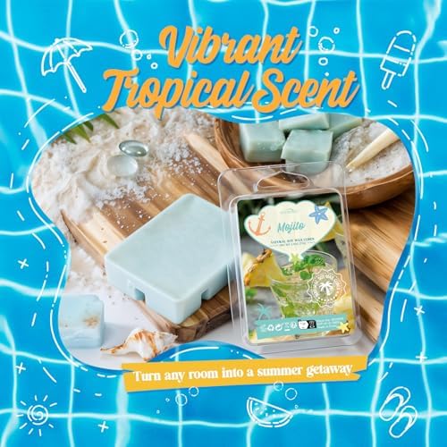 SNOWSEN Summer Scented Wax Melts Set