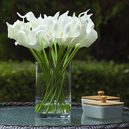 Enova Floral Clear Glass Cylinder Vase 6x10 Inches