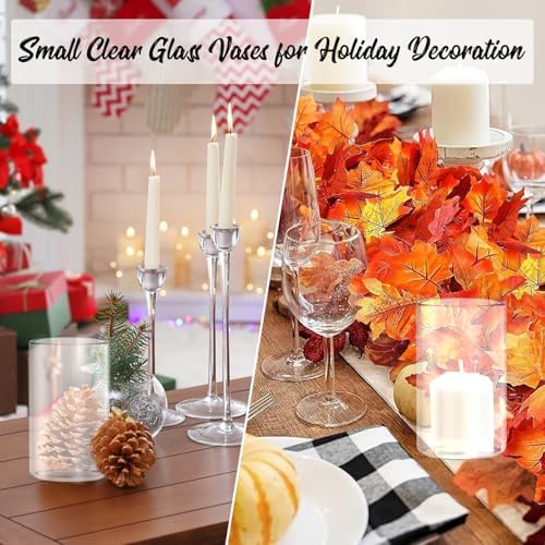 12pcs Clear Glass Cylinder Vases for Centerpieces and Decor
