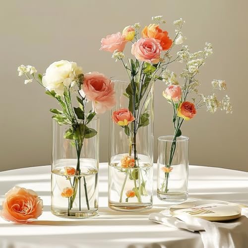 Zomiol Glass Cylinder Vase Set of 18 for Centerpieces
