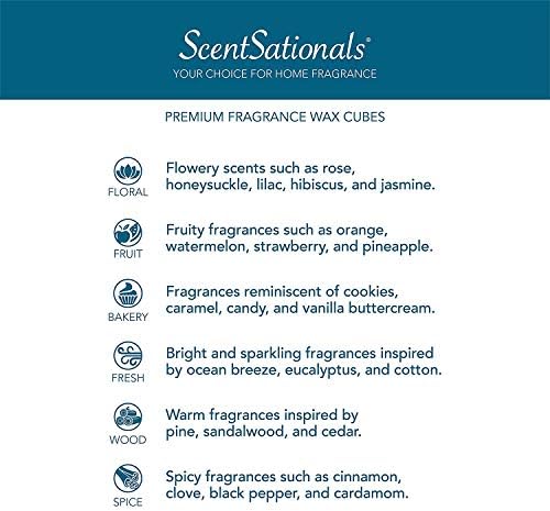 Scentsationals Scented Wax Cubes Vanilla Bean 10oz 24-Cubes