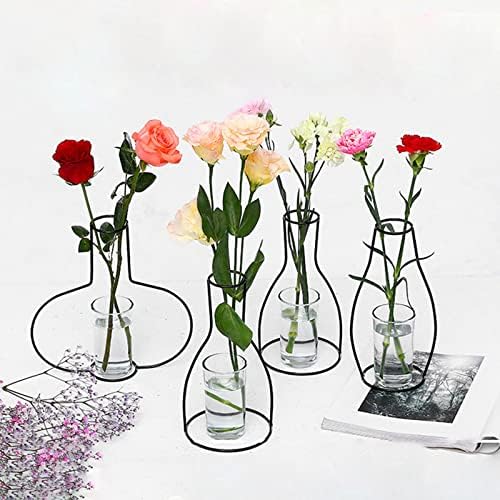 Iron Wire Flower Vase for Home Decor