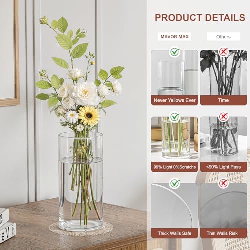 Mavora Max Glass Cylinder Vase Set of 10
