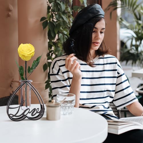 Modern Metal Flower Vase with Clear Glass Frame