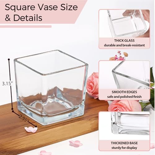 CONNOO 12 Pack Square Glass Vases 3x3x3 Clear