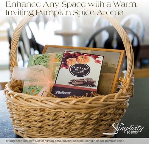 Pumpkin Spice Scented Sachets Pack of 3 for Home and Car