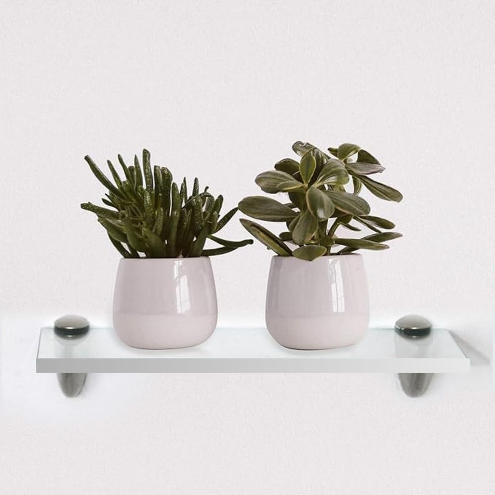Clear Acrylic Floating Shelf 8x12 Inch 38 Thick by Yana
