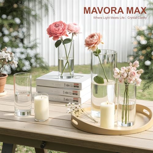 Mavora Max Glass Cylinder Vase Set of 10