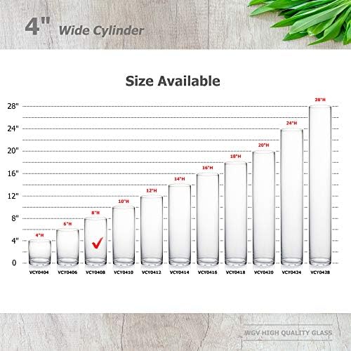 WGVI Thick Weighted Glass Cylinder Vases 6 Pcs