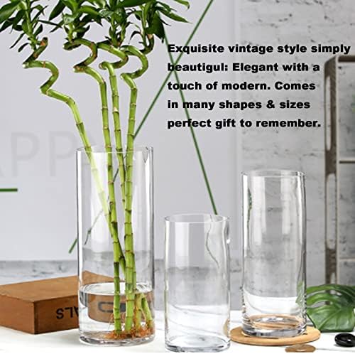 Esmiome Cylinder Vase Set 6Pcs Clear Glass Hurricane Candle Holder for Centerpieces