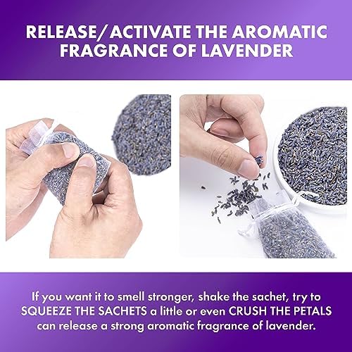 French Lavender Sachets Set of 36 for Closets and Drawers
