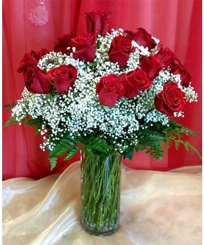 WGVI Clear Glass Cylinder Vases 6 Pcs 4 W x 12 H
