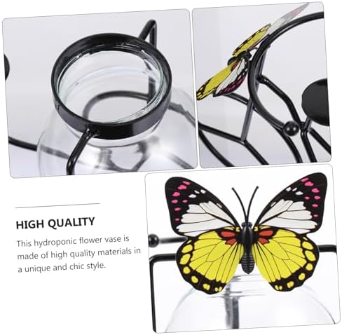 Petryzoom Pedicab Glass Hydroponic Vase with Wrought Iron Holder
