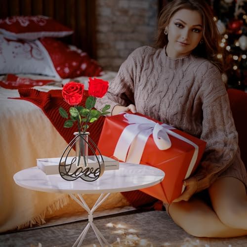 Modern Metal Flower Vase with Clear Glass Frame