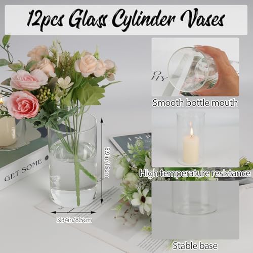 12pcs Clear Glass Cylinder Vases for Centerpieces and Decor