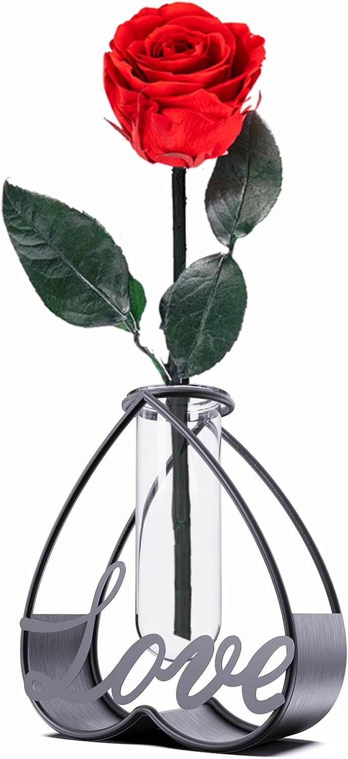 Modern Metal Flower Vase with Clear Glass Frame