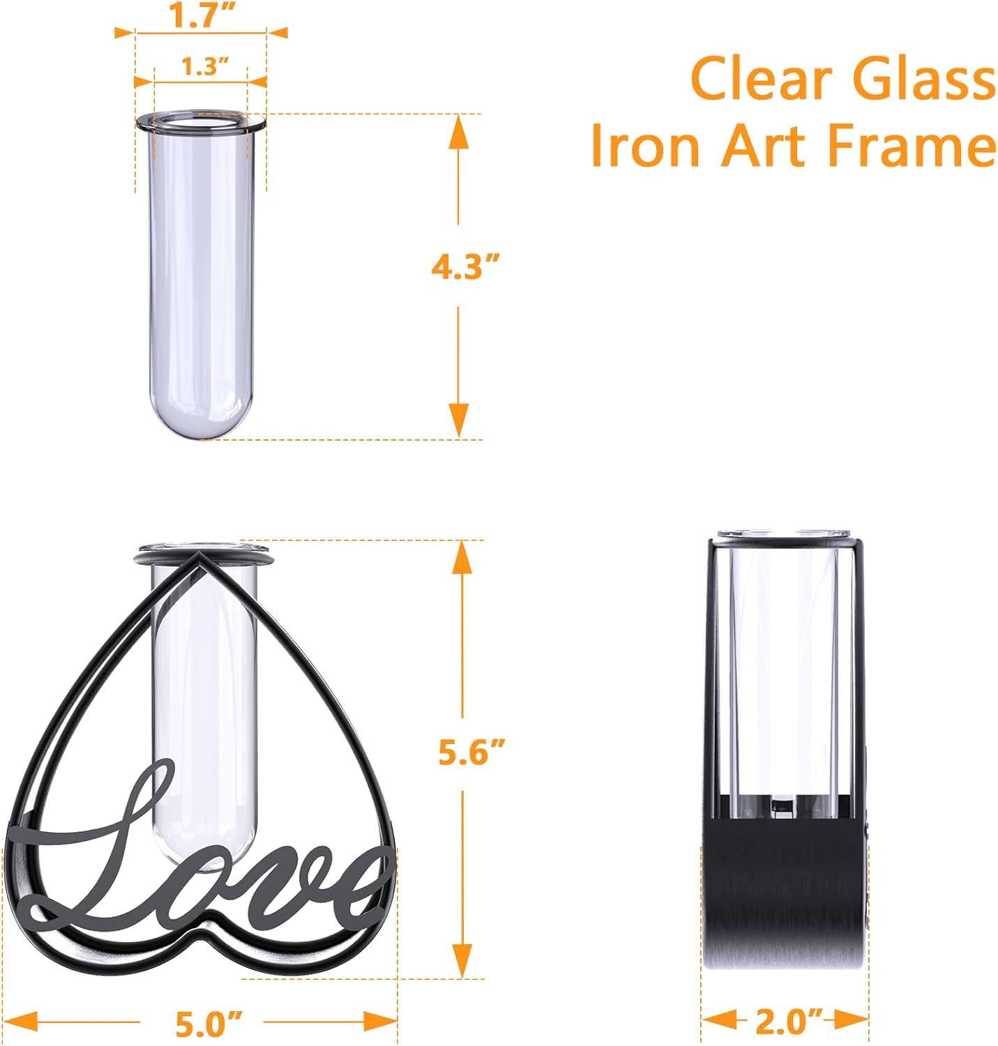 Modern Metal Flower Vase with Clear Glass Frame