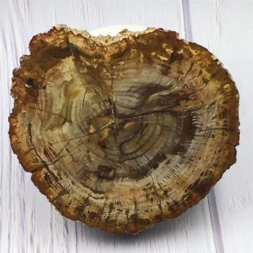KatLin Natural Wood Grain Crystal Healing Stones