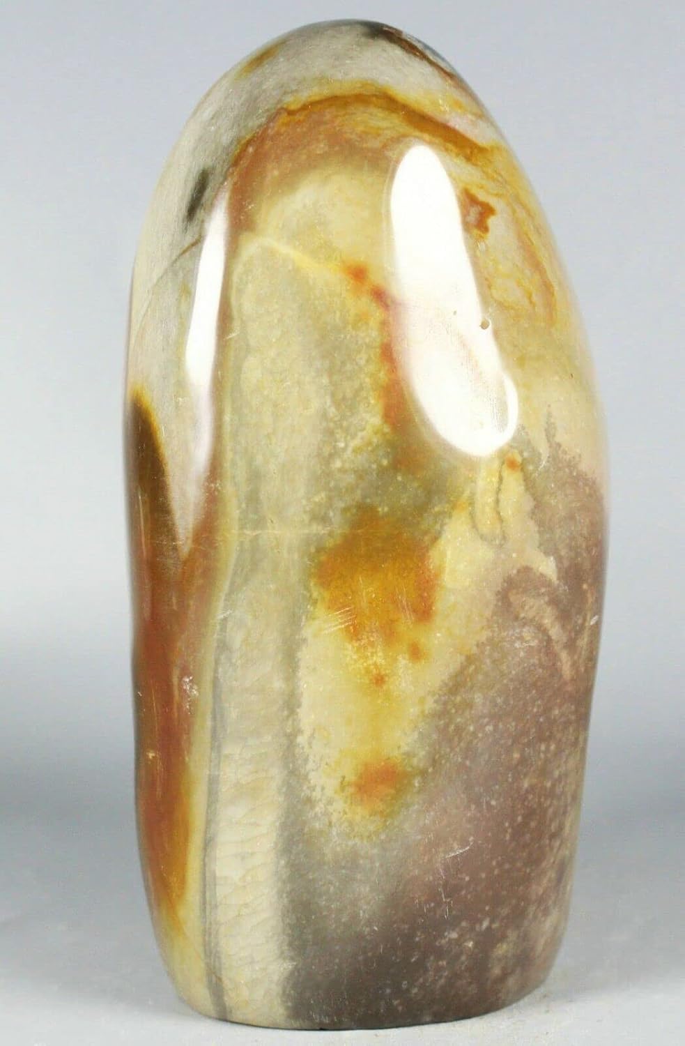 NOVAGEM 568G Polished Polychrome Jasper Display Stand