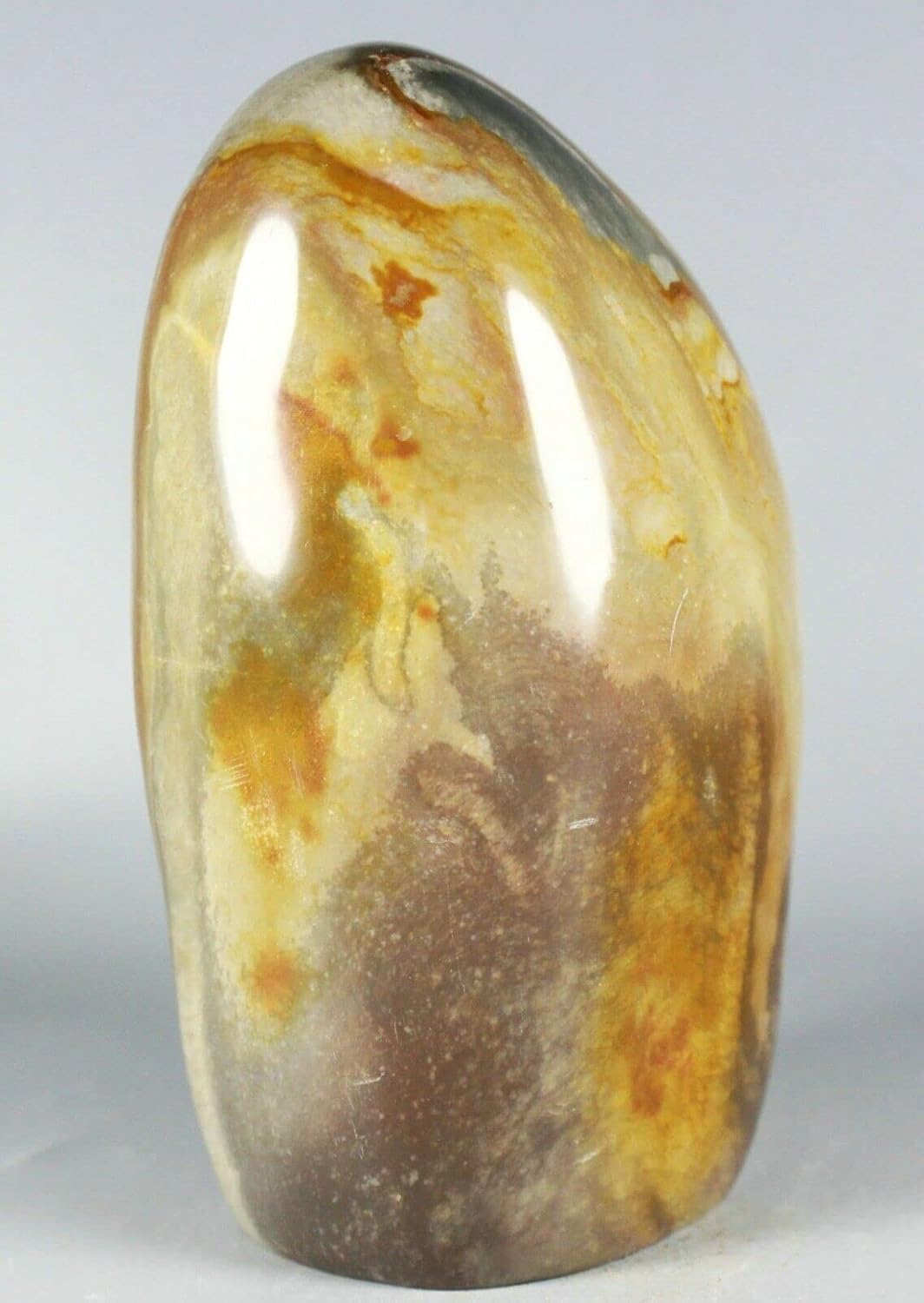NOVAGEM 568G Polished Polychrome Jasper Display Stand