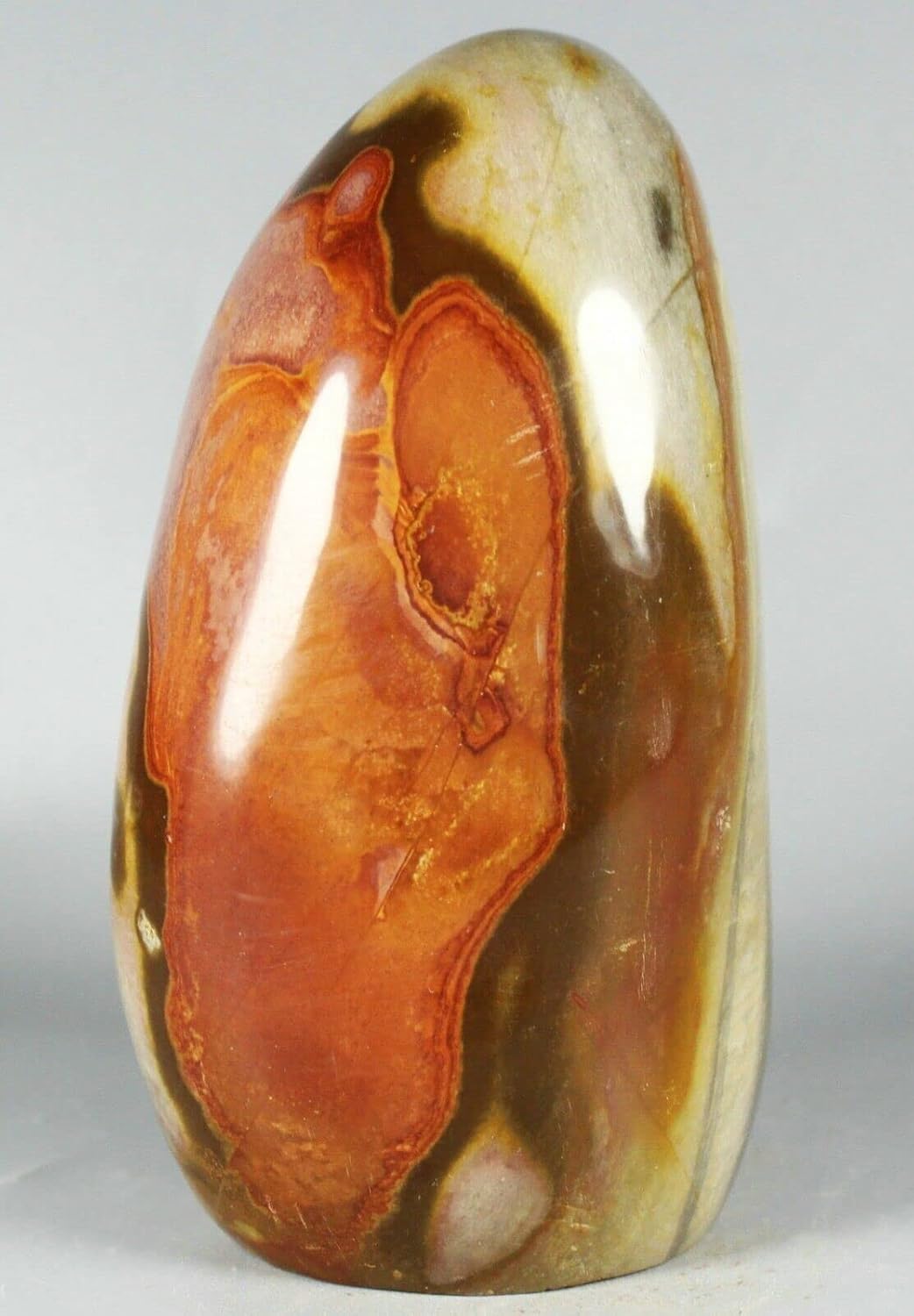 NOVAGEM 568G Polished Polychrome Jasper Display Stand