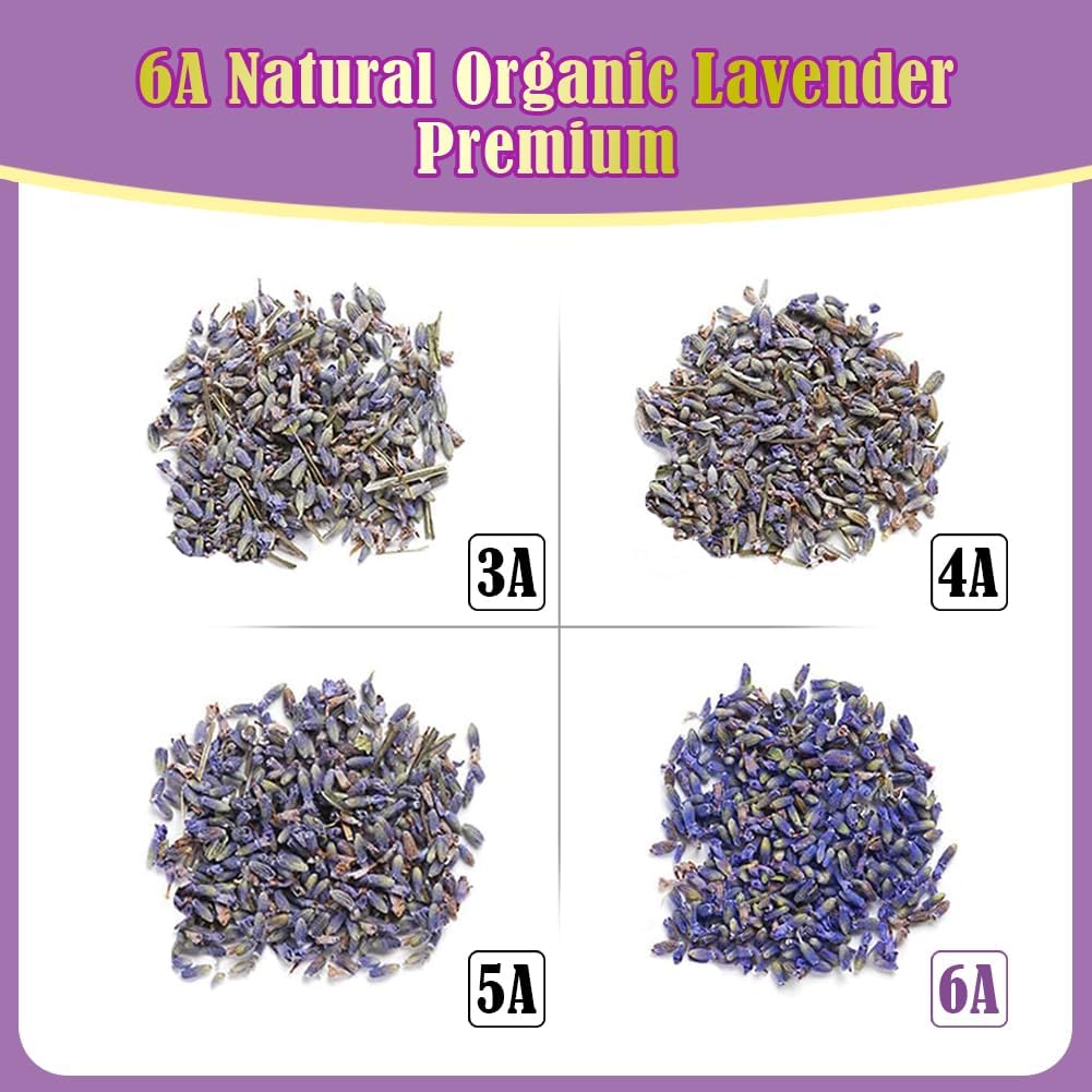 Cedar Space 32 Lavender Sachet Bags for Home and Closet Use