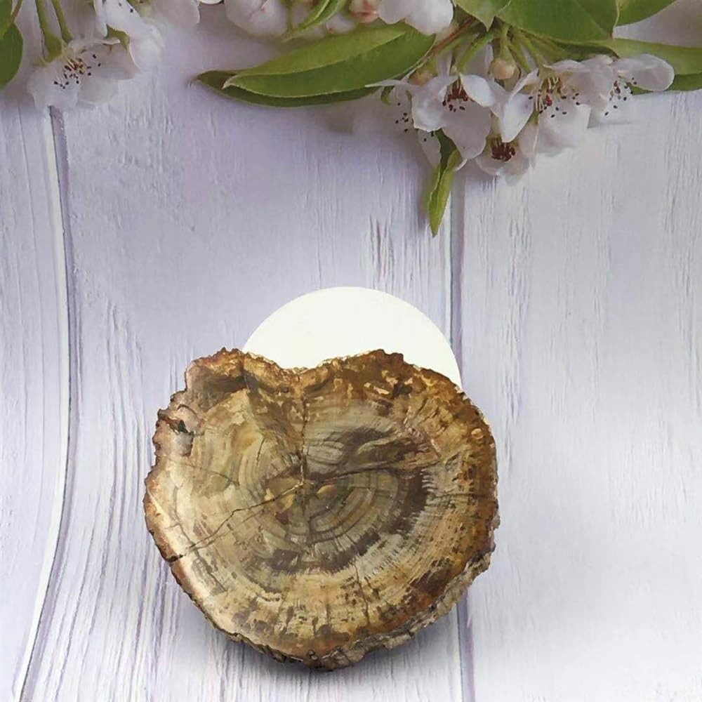 KatLin Natural Wood Grain Crystal Healing Stones