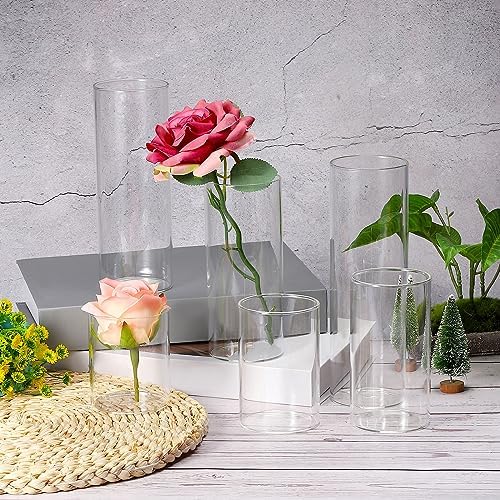 PATIKIL Clear Glass Cylinder Vase 79 Tall