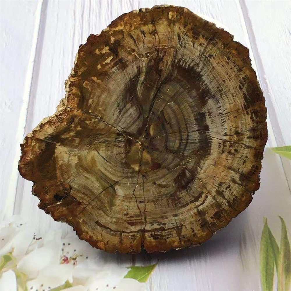 KatLin Natural Wood Grain Crystal Healing Stones