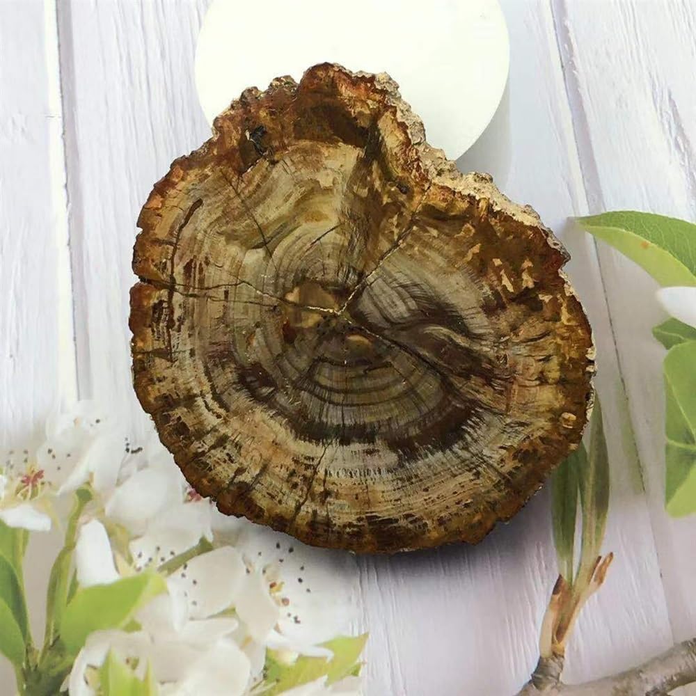 KatLin Natural Wood Grain Crystal Healing Stones