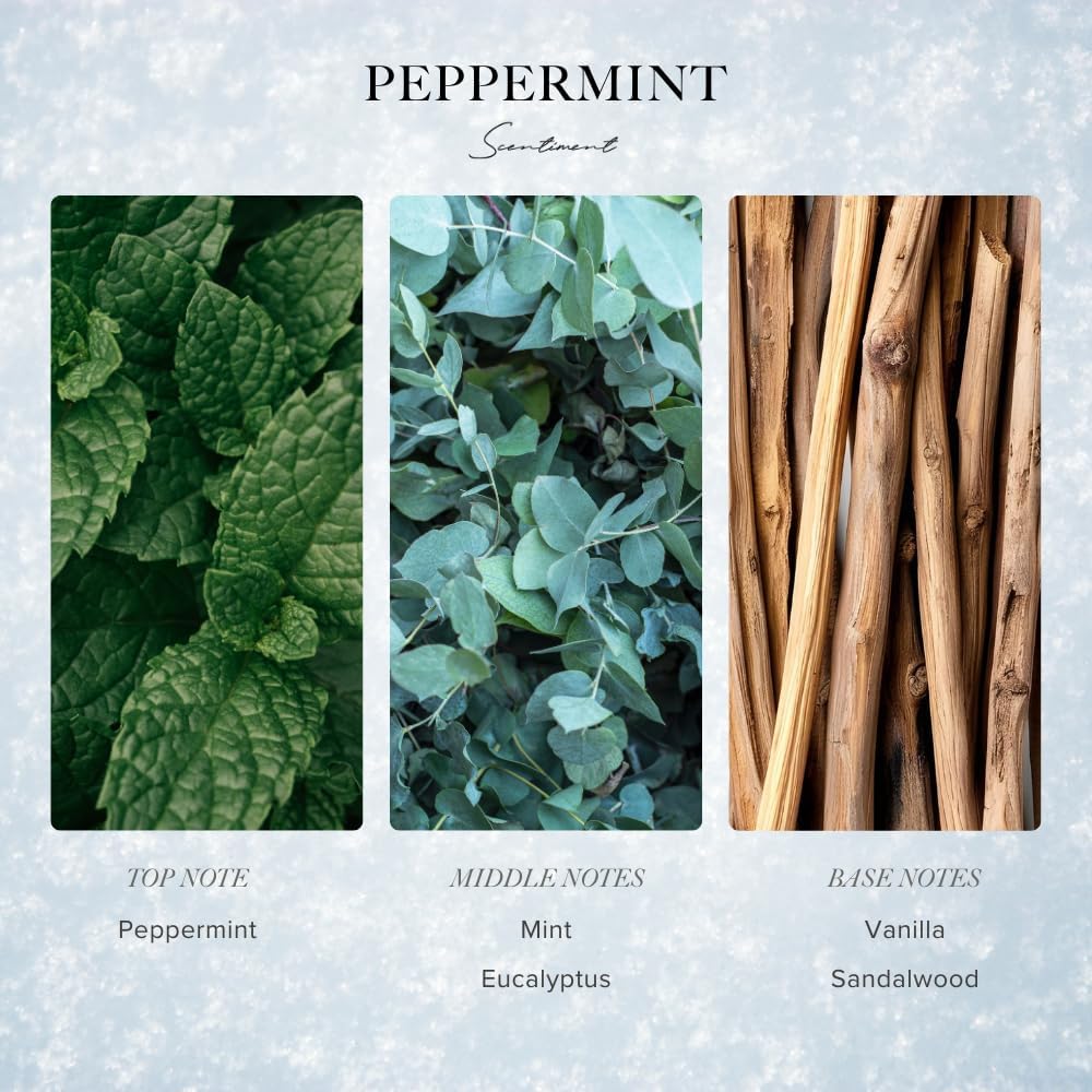Scentiment Peppermint Winter Diffuser Oil 20ml