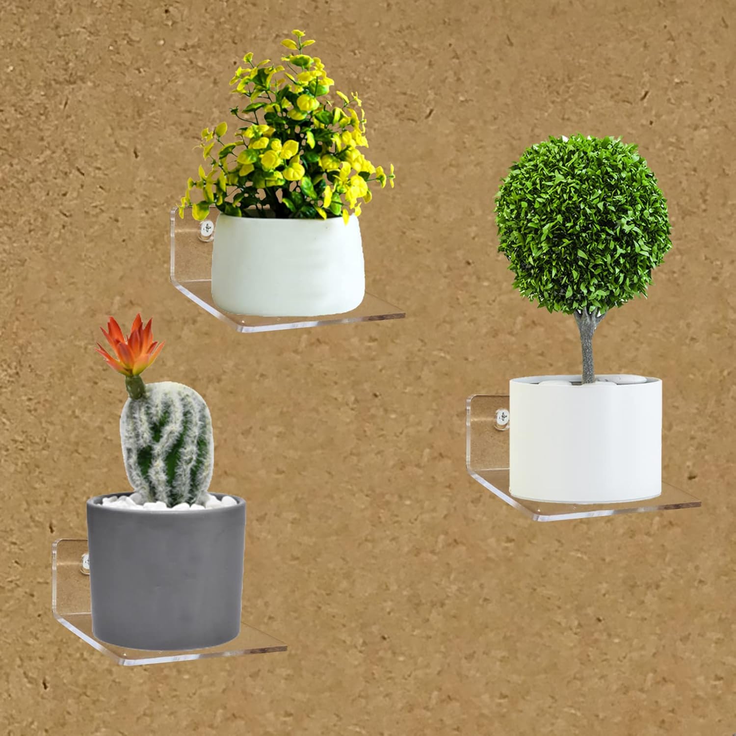 Bigfety Acrylic Floating Shelves 3-Ledges Clear Display Shelf