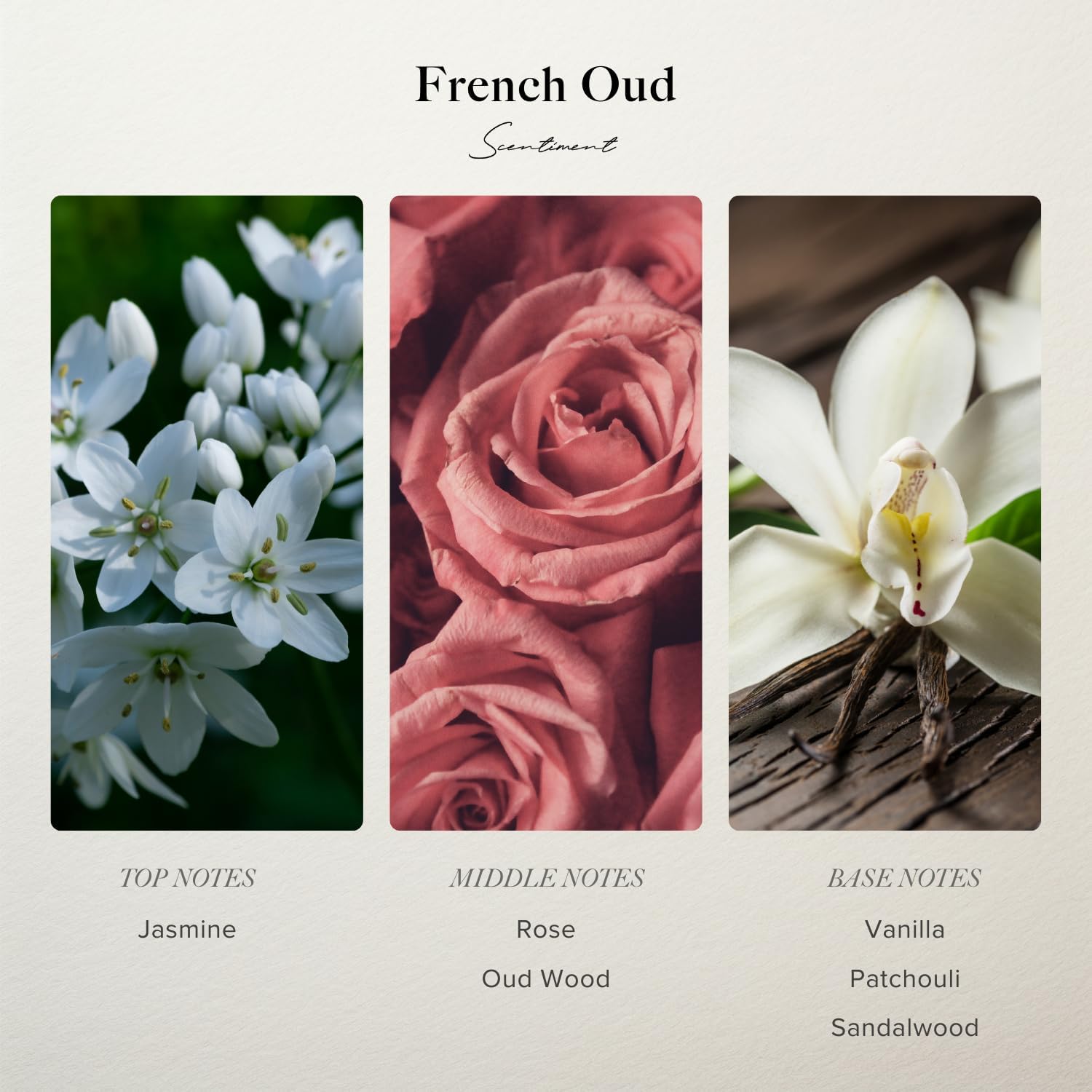 French Oud Designer Diffuser Oil - 120 mL Luxury Scent
