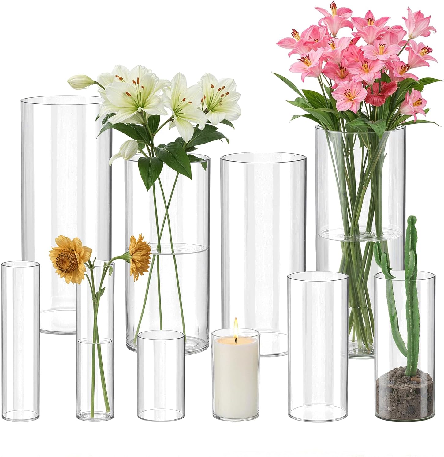 Mavora Max Glass Cylinder Vase Set of 10