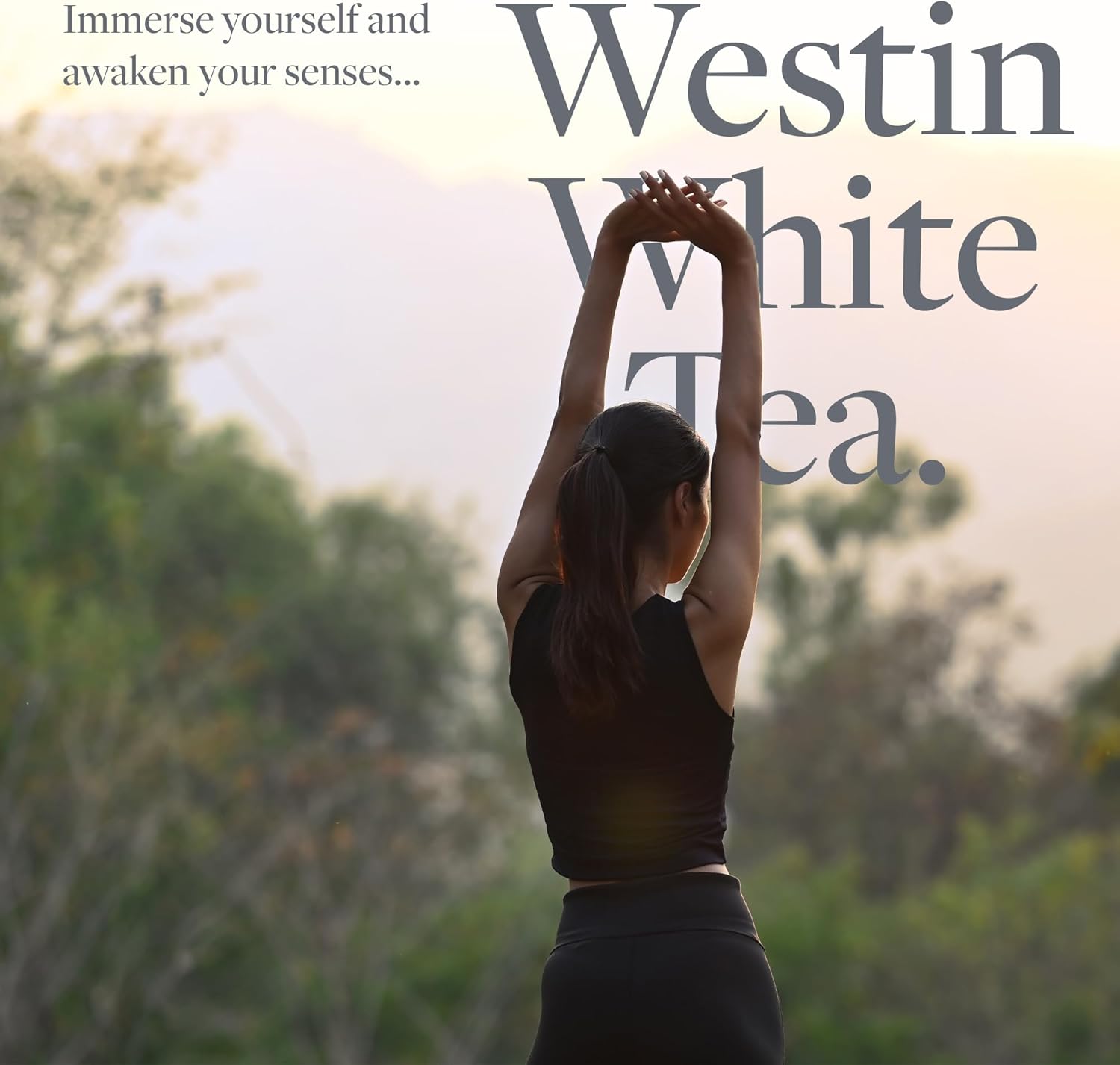 Westin Hotels White Tea Scent Sachets 3 Pack