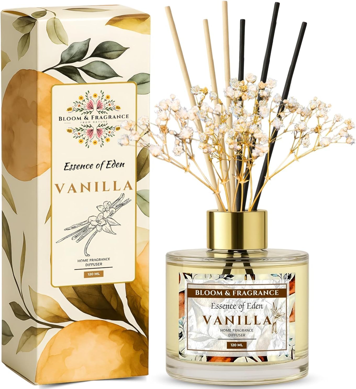Bloom Fragrance 4oz Reed Diffuser with 6 Fiber Sticks Vanilla
