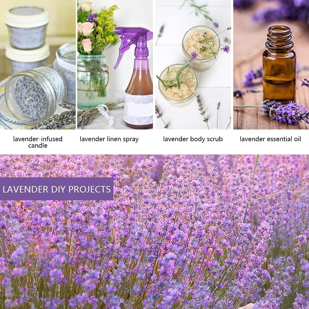 Cedar Space 32 Lavender Sachet Bags for Home and Closet Use