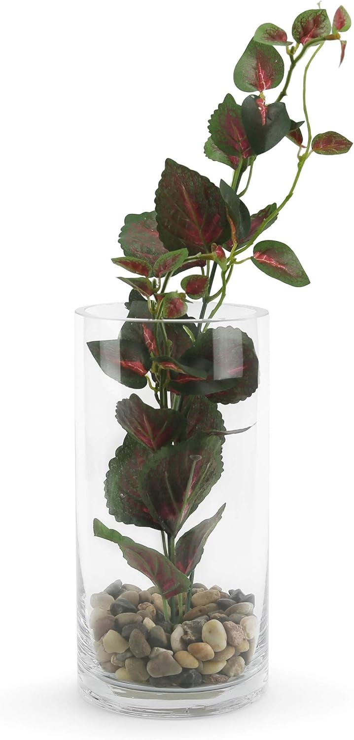 WGVI Thick Weighted Glass Cylinder Vases 6 Pcs