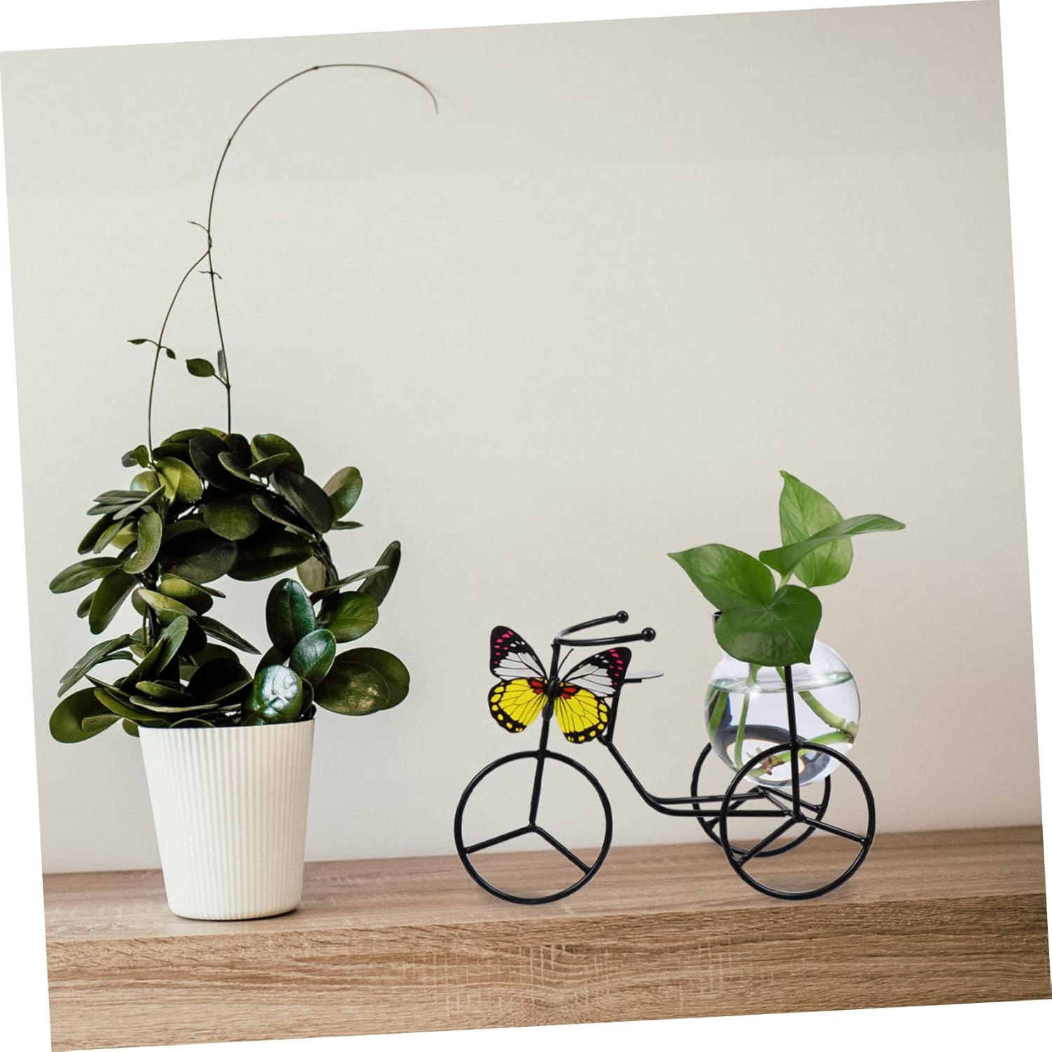 Petryzoom Pedicab Glass Hydroponic Vase with Wrought Iron Holder