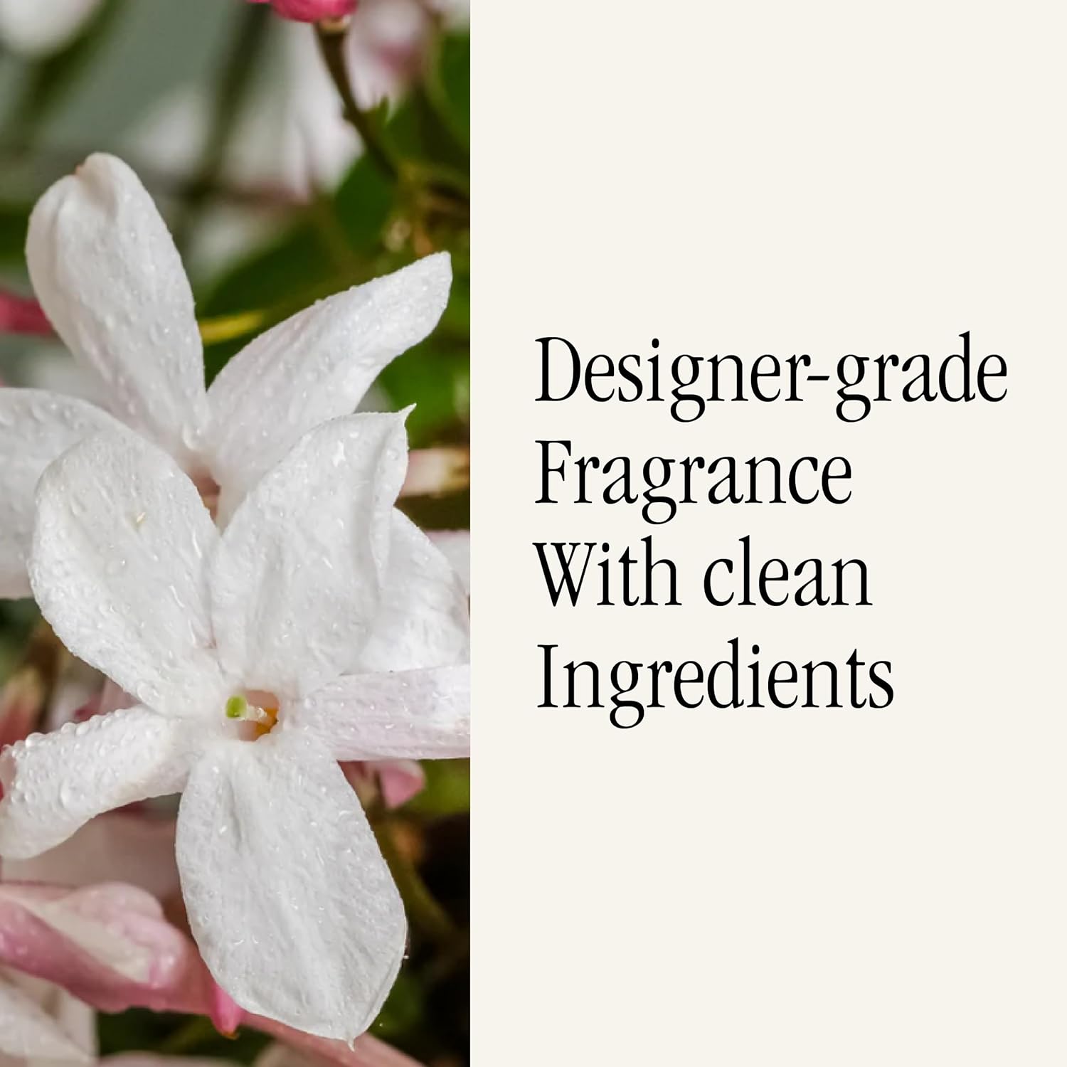 Pura Smart Home Diffuser Refill - Flowering Currant 2 Pack