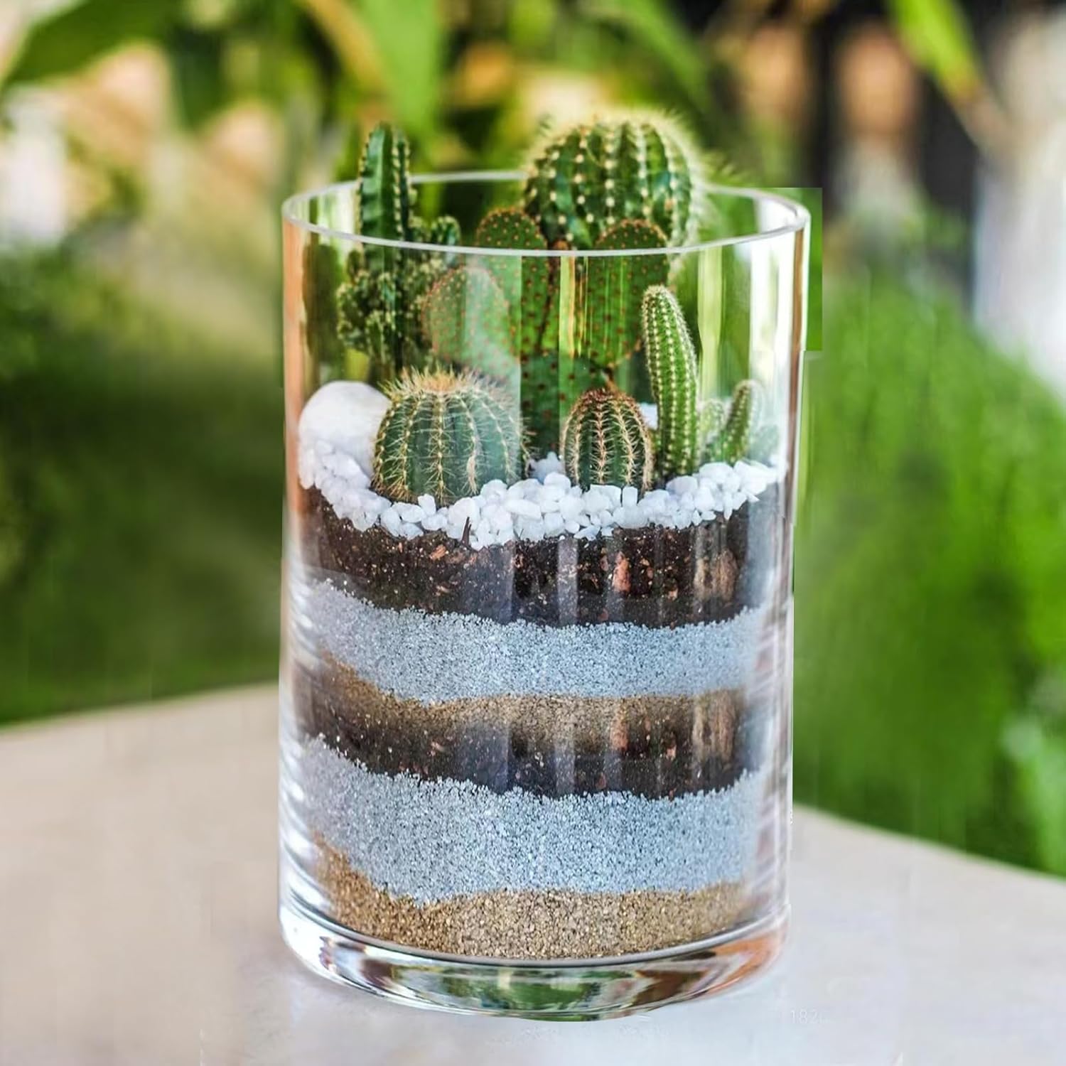 Clear Glass Cylinder Vase with 8 Height and 4 Diameter