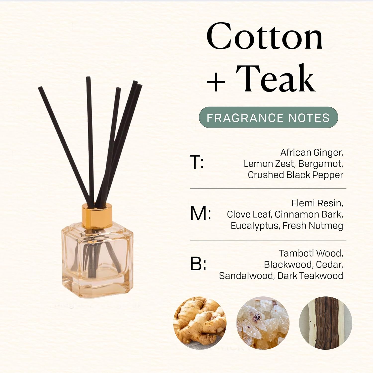 Paddywax Botanica Scented Oil Diffuser with Reeds in Reusable Glass Bottle