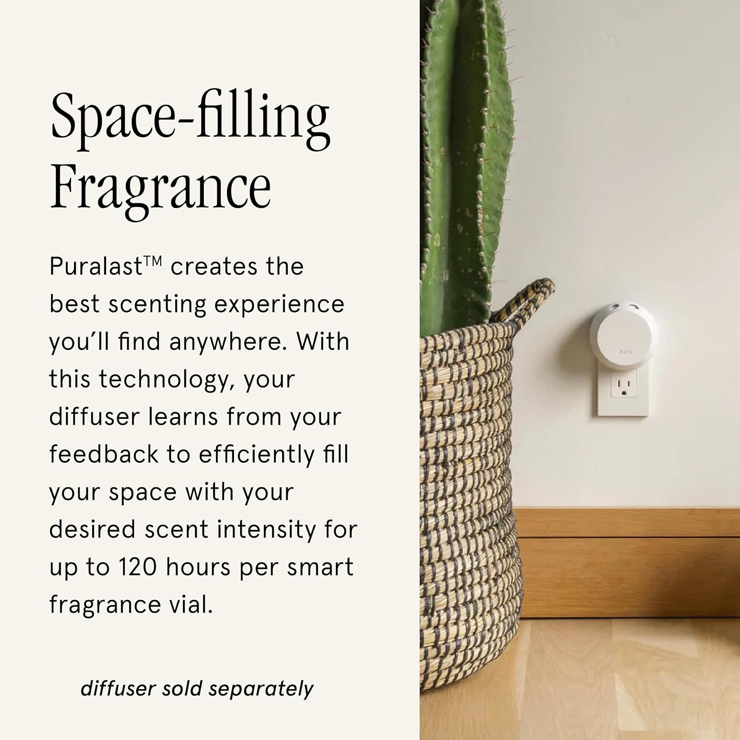 Pura Smart Home Diffuser Refill - Flowering Currant 2 Pack